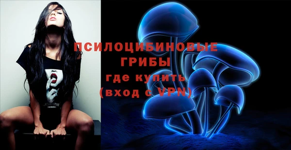 Альфа ПВП Сясьстрой