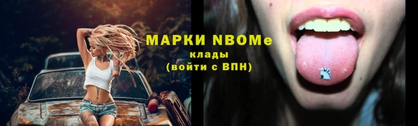 стафф Новокубанск