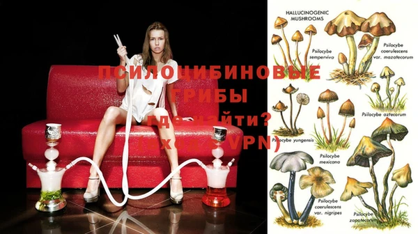 MDMA Няндома