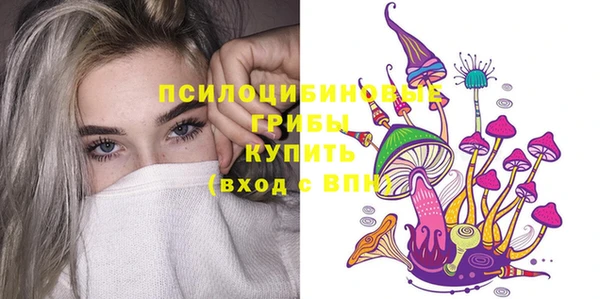 стаф Нязепетровск