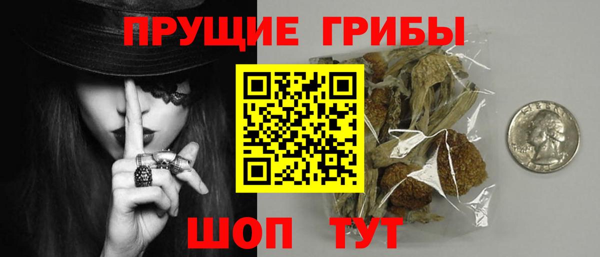 Волоколамск  Галлюциногенные грибы GOLDEN TEACHER  Галлюциногенные грибы Magic Shrooms  Вход с VPN 